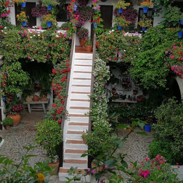 Les patios de Cordoue, un patrimoine social à défendre