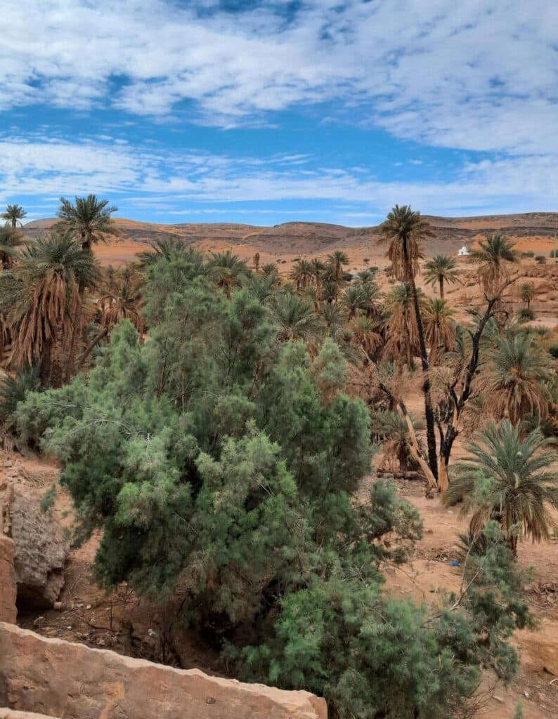 Dans le sud saharien, l’eau manque et le désert continue de gagner du terrain