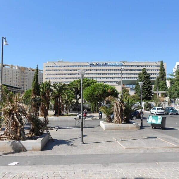 À Aix-Marseille Université, l’engagement est une formation diplômante
