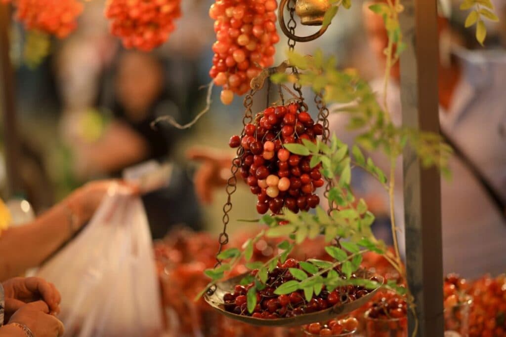 Quand les cerises ouvrent la voie d’une agriculture plus verte