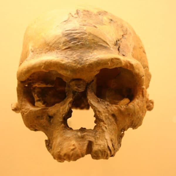 Au Maroc, des vestiges témoignent des origines de l’homme