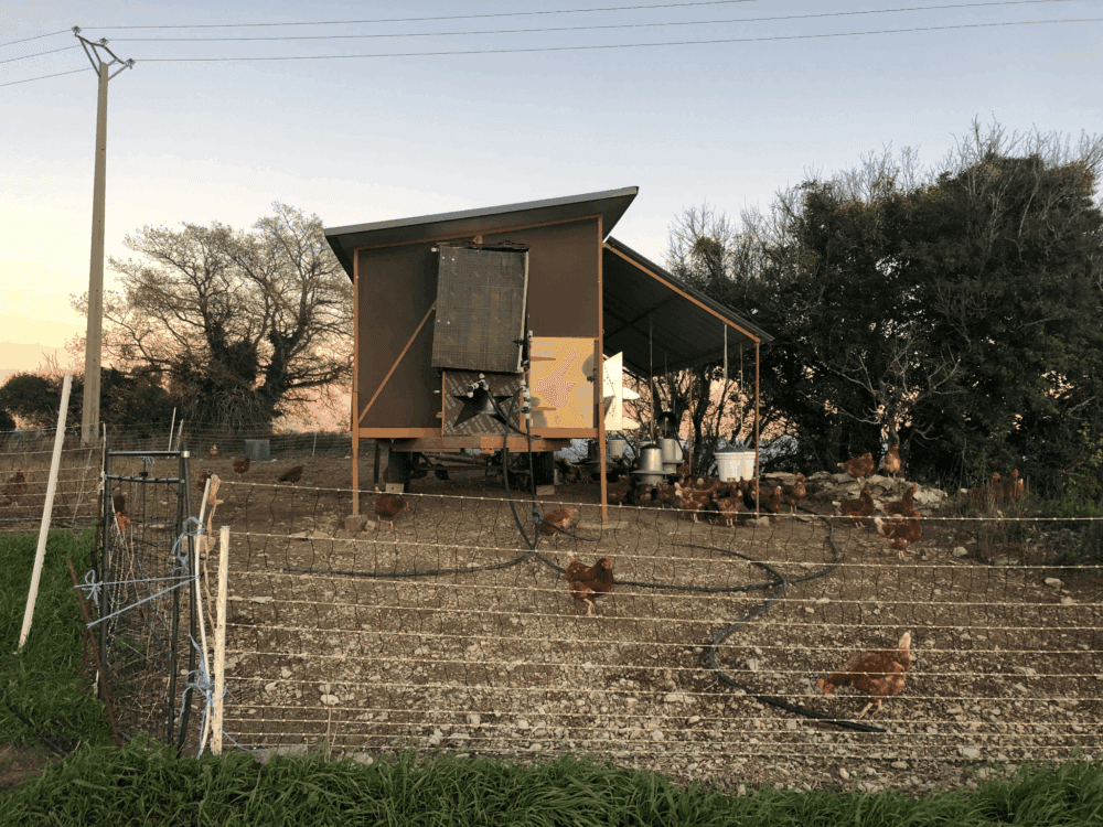 Fermes Terre de Liens : le bon sens paysan au service d’exploitations robustes 