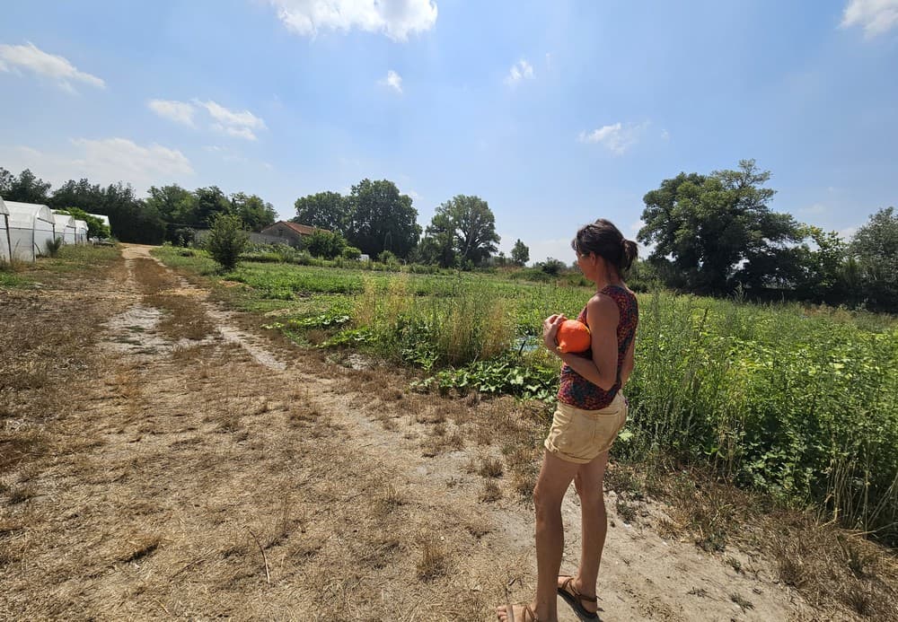 L’agriculture au féminin