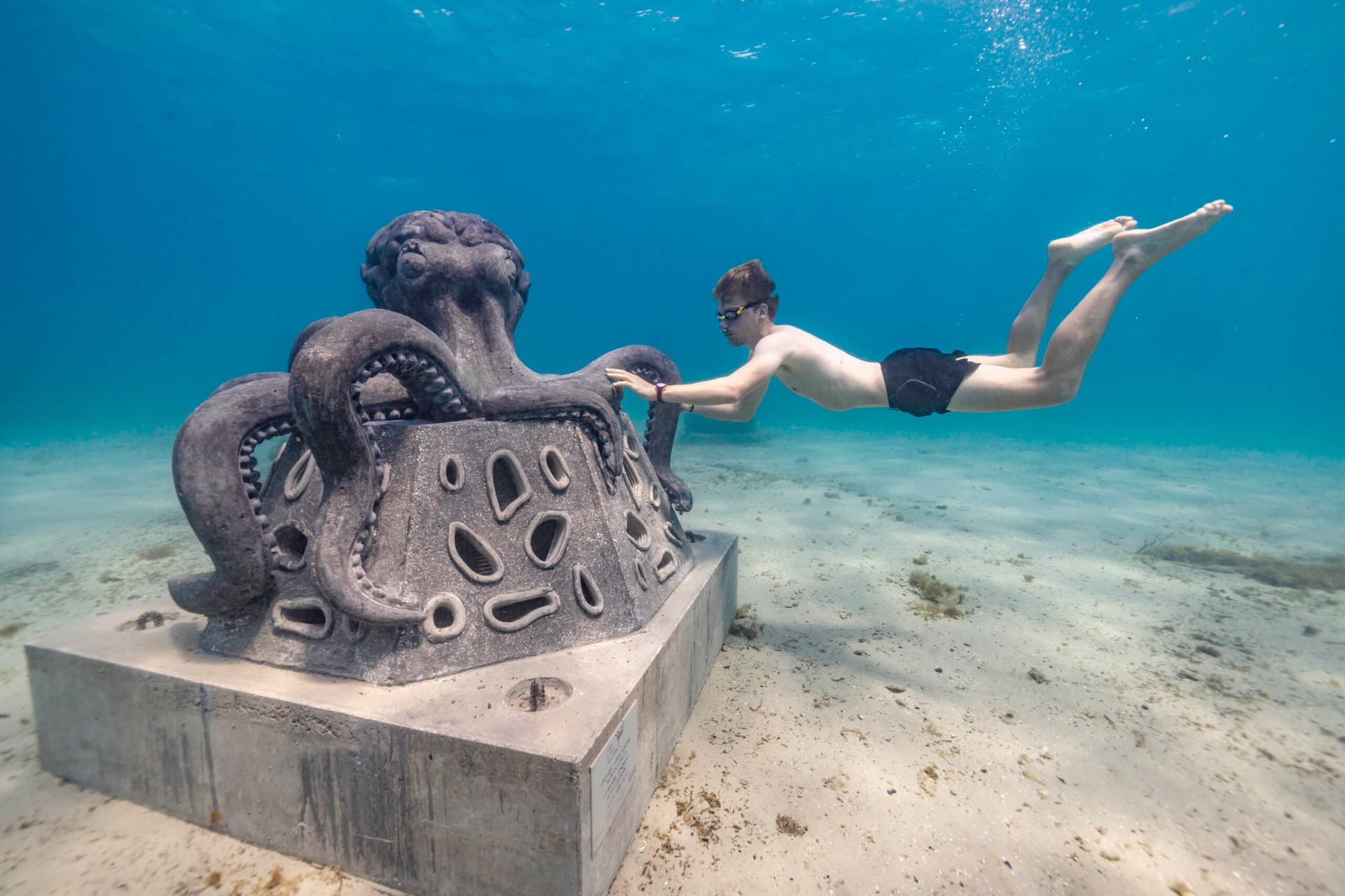 Le Musée Subaquatique de Marseille combine art contemporain et conservation marine
