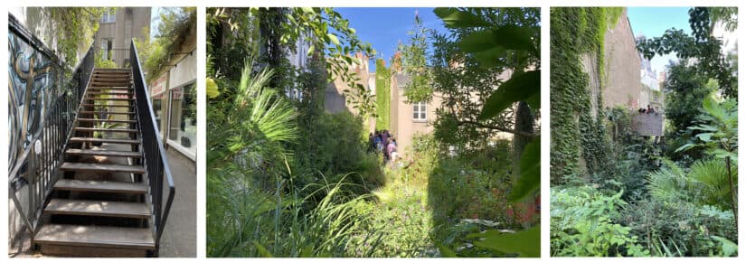Avec la Jungle intérieure, Nantes a son oasis