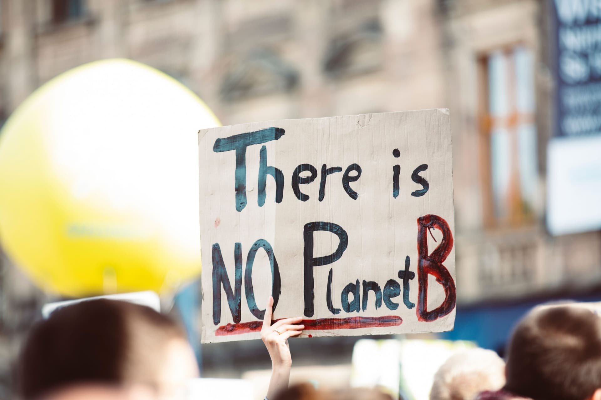 La non-violence au cœur des combats écologiques