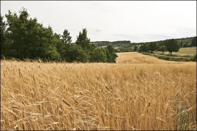 Agriculture diversifiée et de qualité ? Destination les Alpes de Haute-Provence !