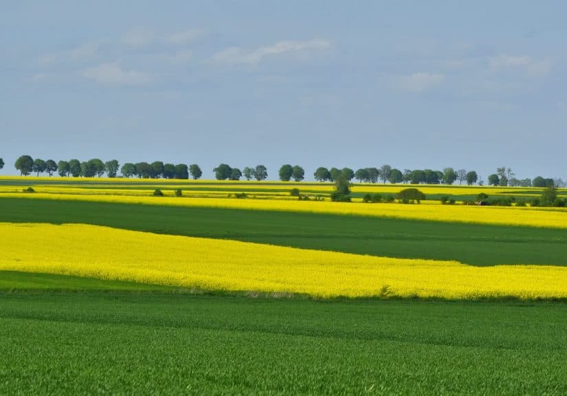 « L’agroécologie, un système de production relocalisé, durable et sain pour tous »