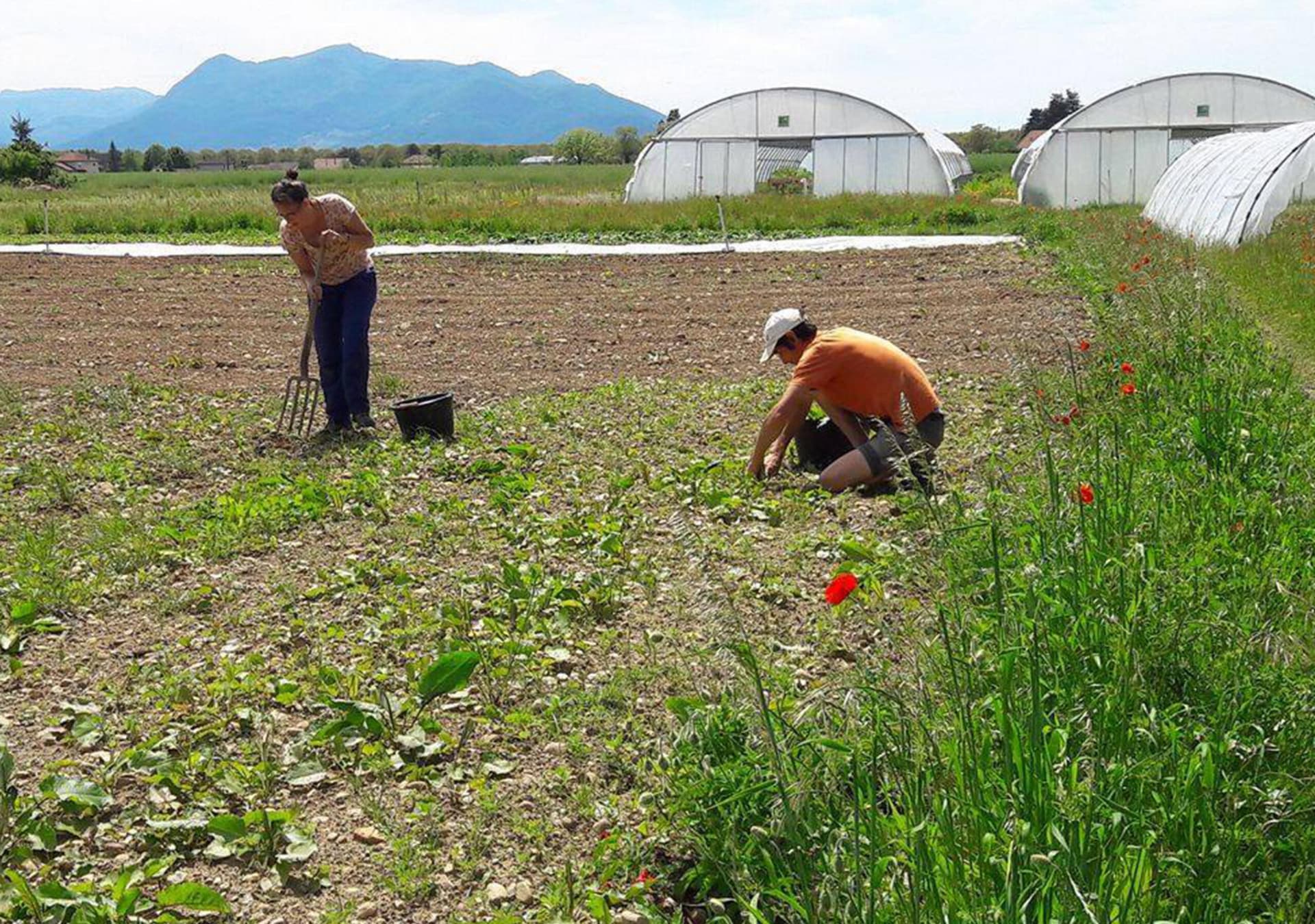 Agriculture : se tester avant de se lancer